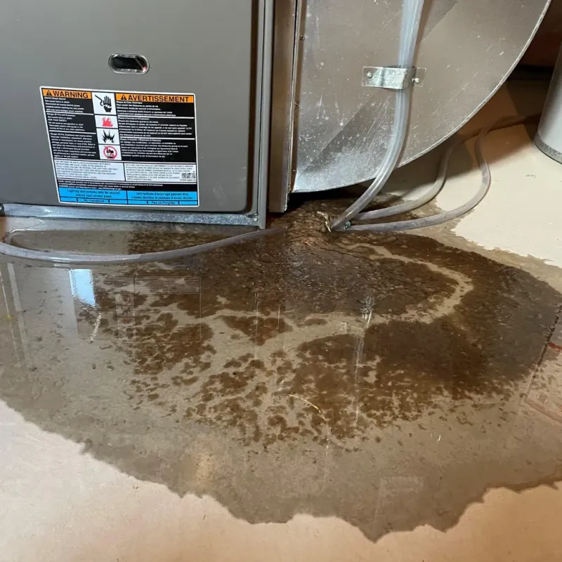 Appliance Leak Cleanup in Steamboat Springs, CO