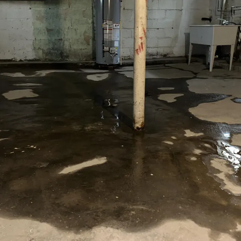 Emergency Water Extraction And Removal in Steamboat Springs, CO